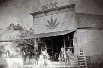 Connecticut cannabis history